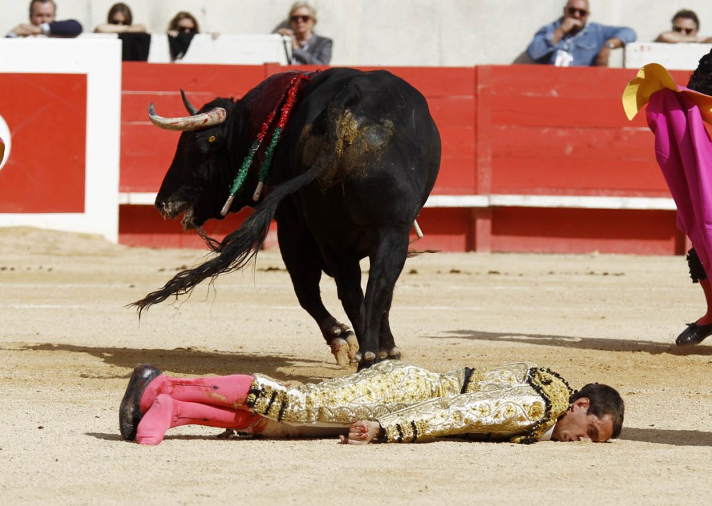 CONFIRMATION DE L’ALTERNATIVE & VOLTERETA